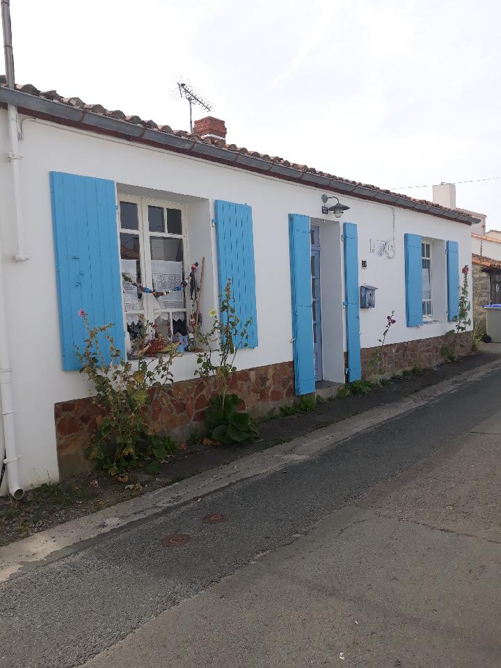 Judith Kovacs | Painter | Vendée — Photos 15